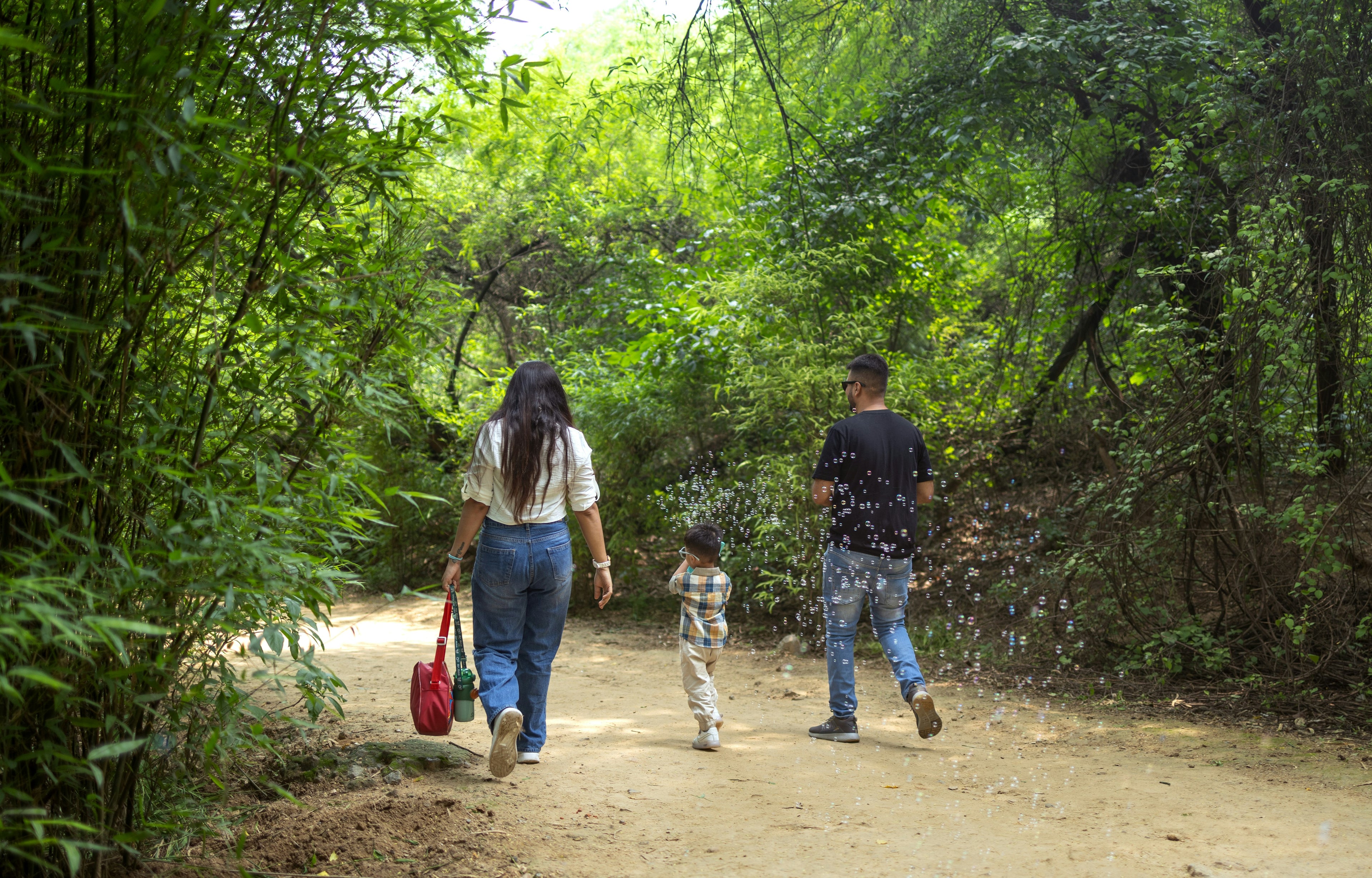 Weekend Forest Escape: Family Nature