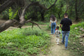 Nature Learning Trail: Educational Family Walk Scenario