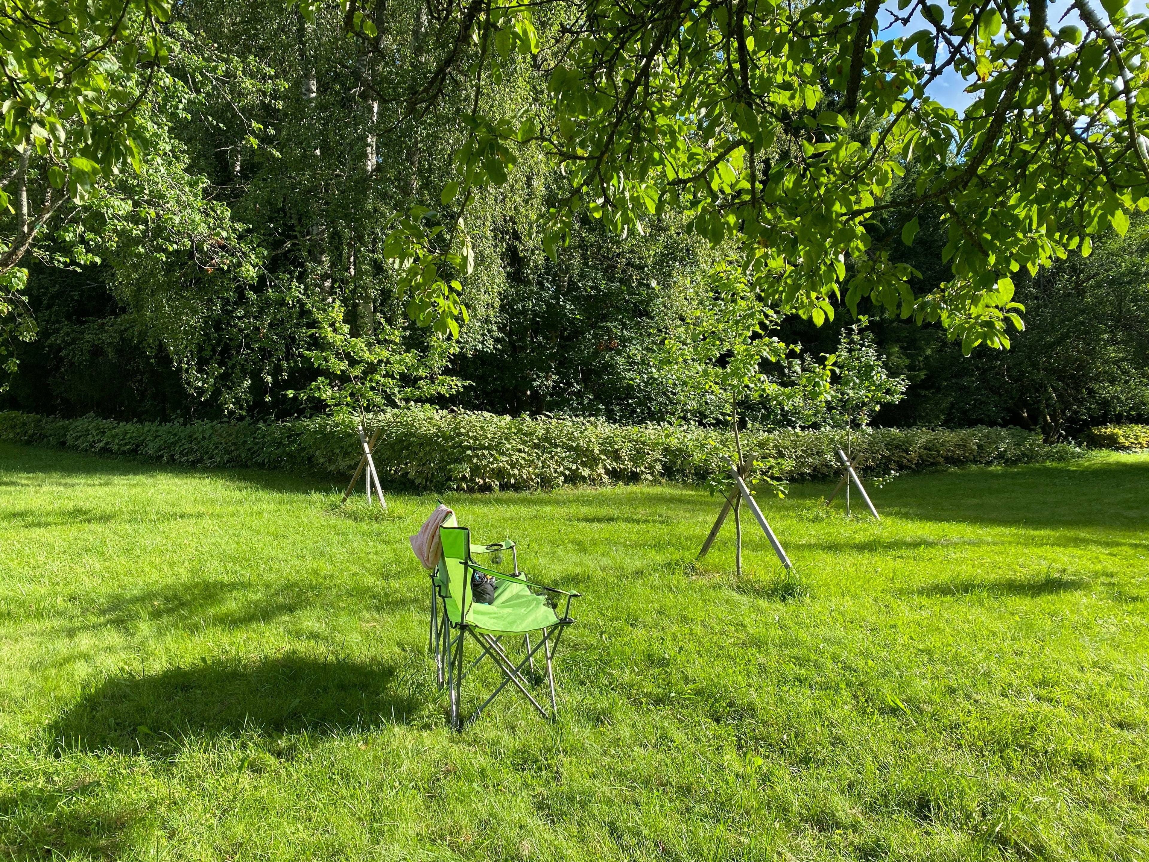 Backyard Nature Day: At-Home Outdoor Scenario